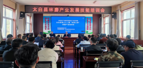 宝鸡太白 林麝产业“活”了乡村 法治保障“稳”了振兴路